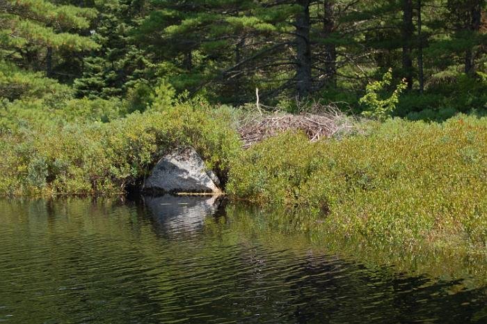 Kanutrip Naturreservat Sporting Lake_75